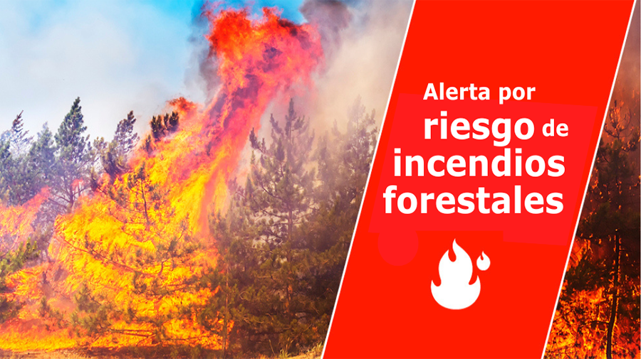 ES-Alert-test op Gran Canaria: grote bosbrandoefening in Moya op 29 april